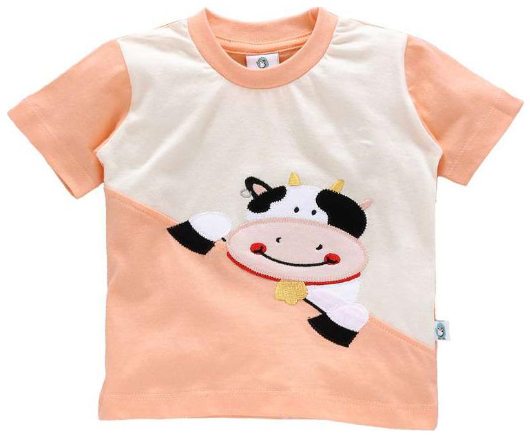 

Cuddledoo Cotton Printed T shirt for Baby Boy - Orange