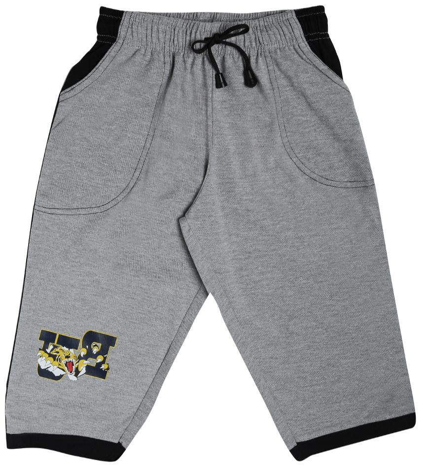 

Dollar Champion Kidswear Boys Lounge Shorts