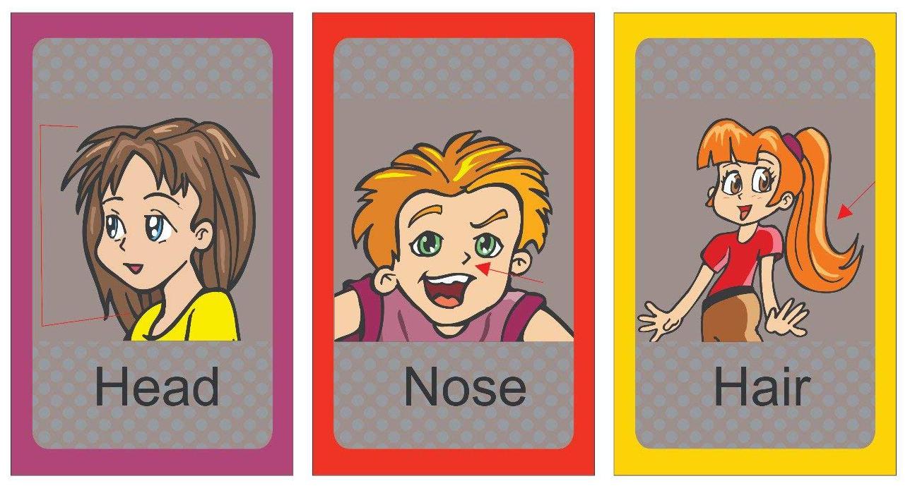 

Educational Cards for Kids Parts of Body Flash Cards Laminated Waterproof Multicolor Size 3 5 X 5 5 (15 pcs Body Parts)