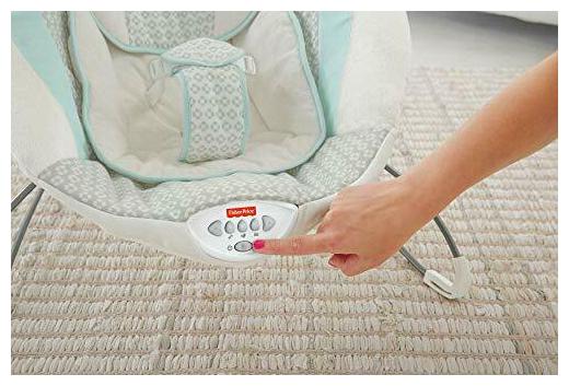 moonlight meadow deluxe bouncer