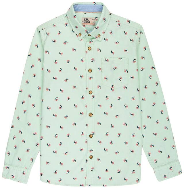 Flying Machine Boy Cotton Printed Shirt Green