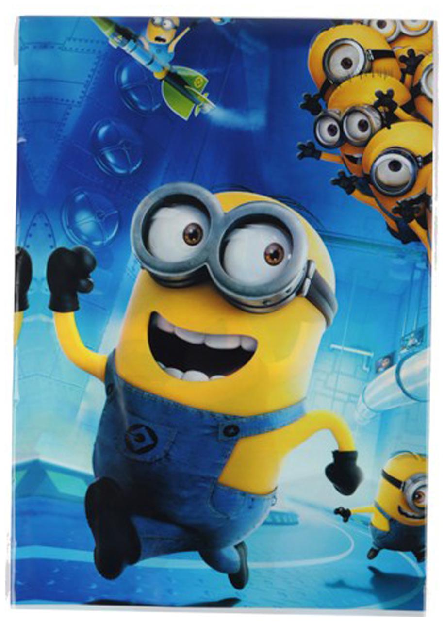

Funcart Despicable 2 Theme 2 In 1 Plastic Cover Sheet