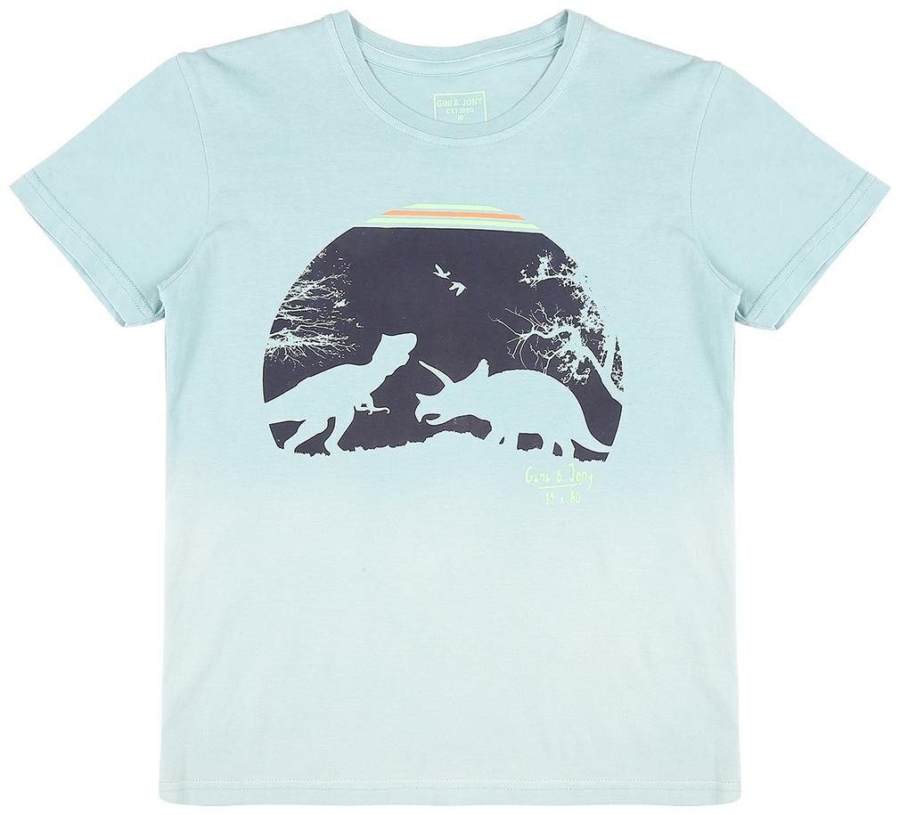 

Gini Jony Boys Green T-Shirt