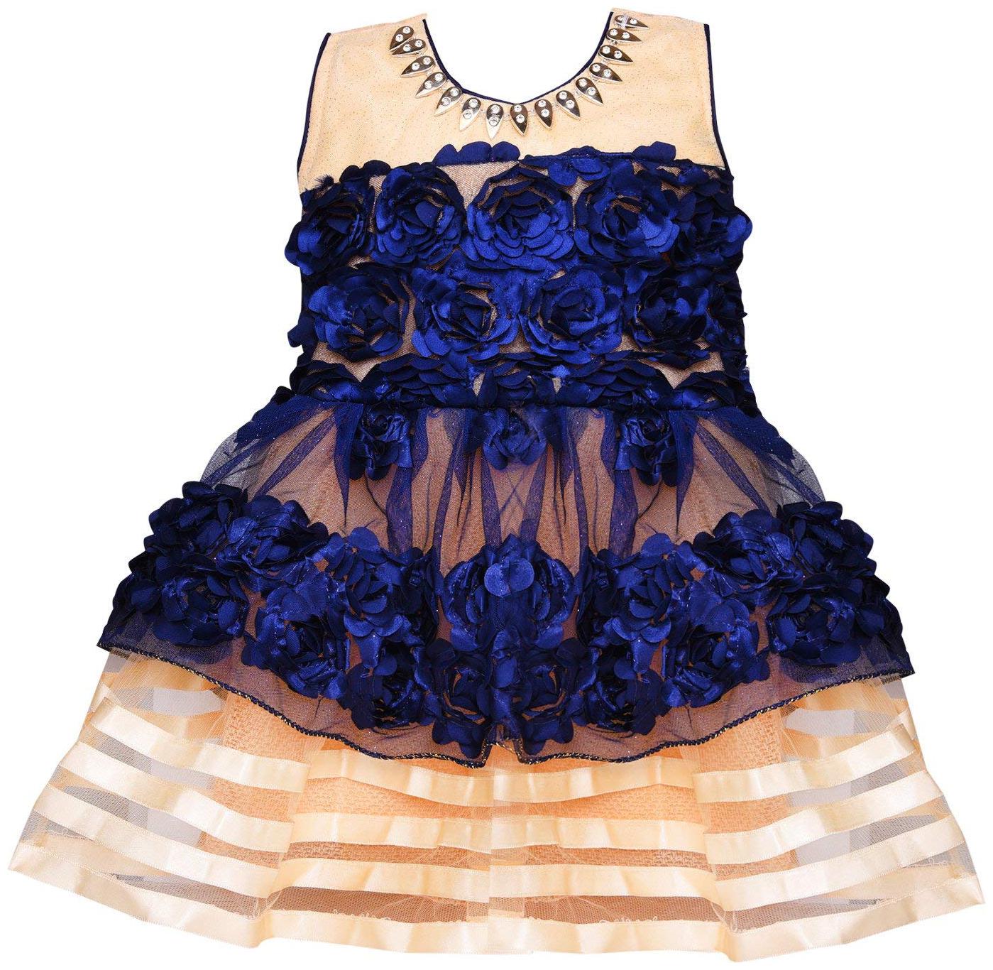 

Silver Kraft Blue Net Sleeveless Knee Length Princess Frock ( Pack of 1 )