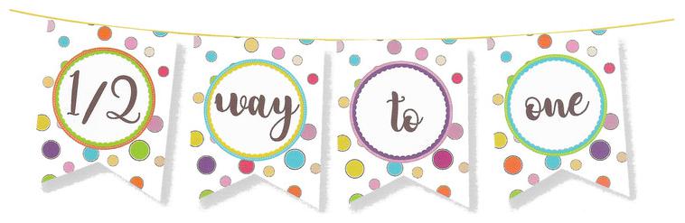 

Hippity Hop Half Birthday Party Banner Party Bunting Party Decoration Boys 1 2 Birthday Party Supplies Girls 1St Birthday Party Decoration Birthday First Birtday Theme (Half 1 2 Way To One)