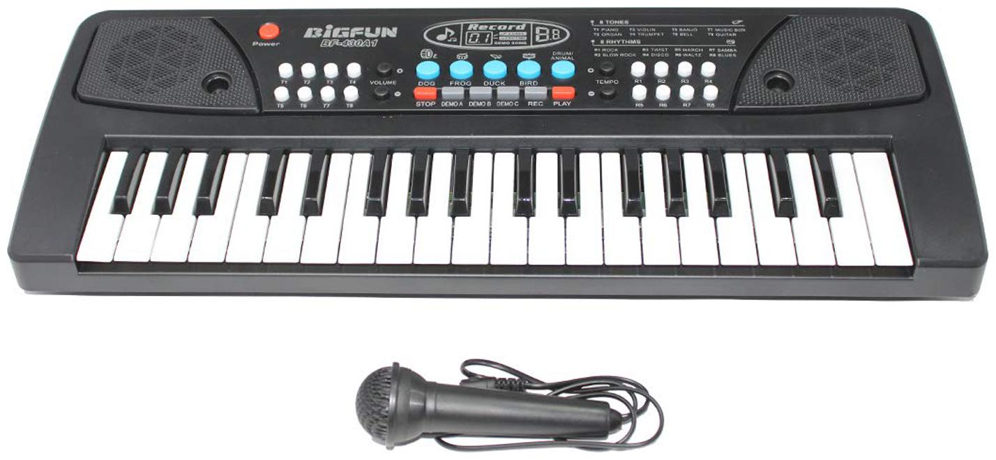 

Honeybun Learning Melody Mixing 37 Key Electronic Music Piano Keyboard with DC Power Option Recording Function and Mic to Sing