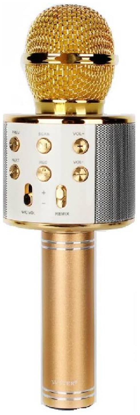

IBS Karaoke Portable Wireless Singing Bluetooth Recording Mic Party Speaker 4 KTV Gold Memory card slot Fm radio usb Microphone (Color-Gold)