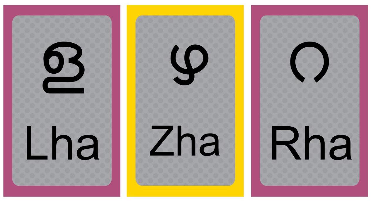 

Kids Educational Cards Malayalam Language Alphabet Learning Waterproof Flash Cards Laminated 3 5 inch x 5 5 inch Each
