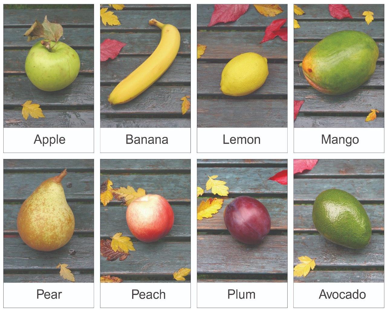 

Kids Learning Cards Fruits Vegetables Educational Flash Cards Laminated 3 5 inch x 5 5 inch Waterproof