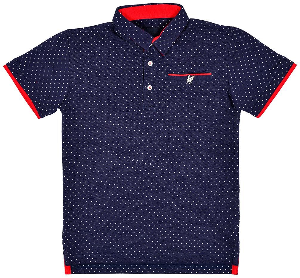 

Li l Tomatoes Half Sleeve Boys Polo T-shirt Blue