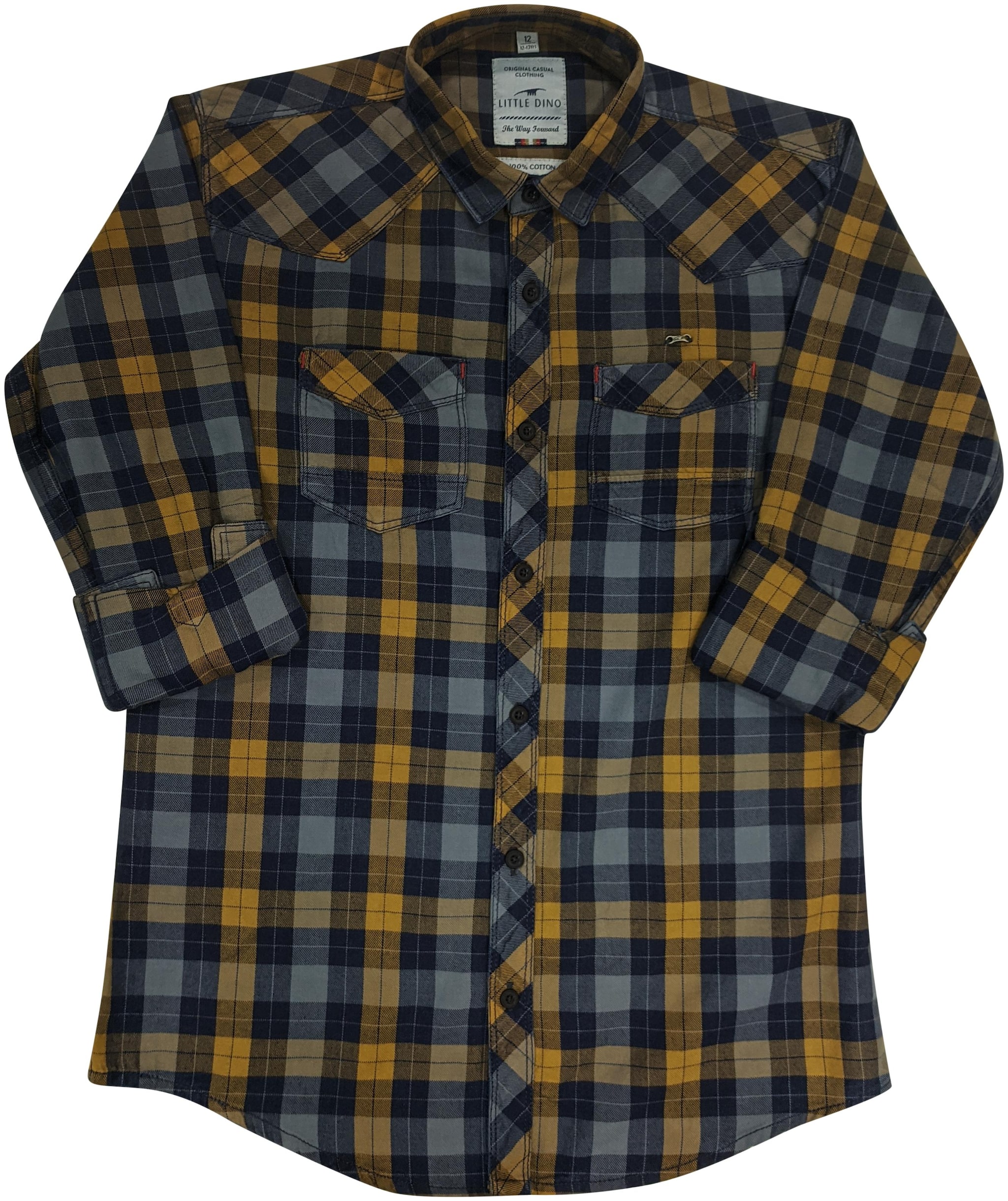 

LITTLE DINO Boy Denim Checked Shirt Multi