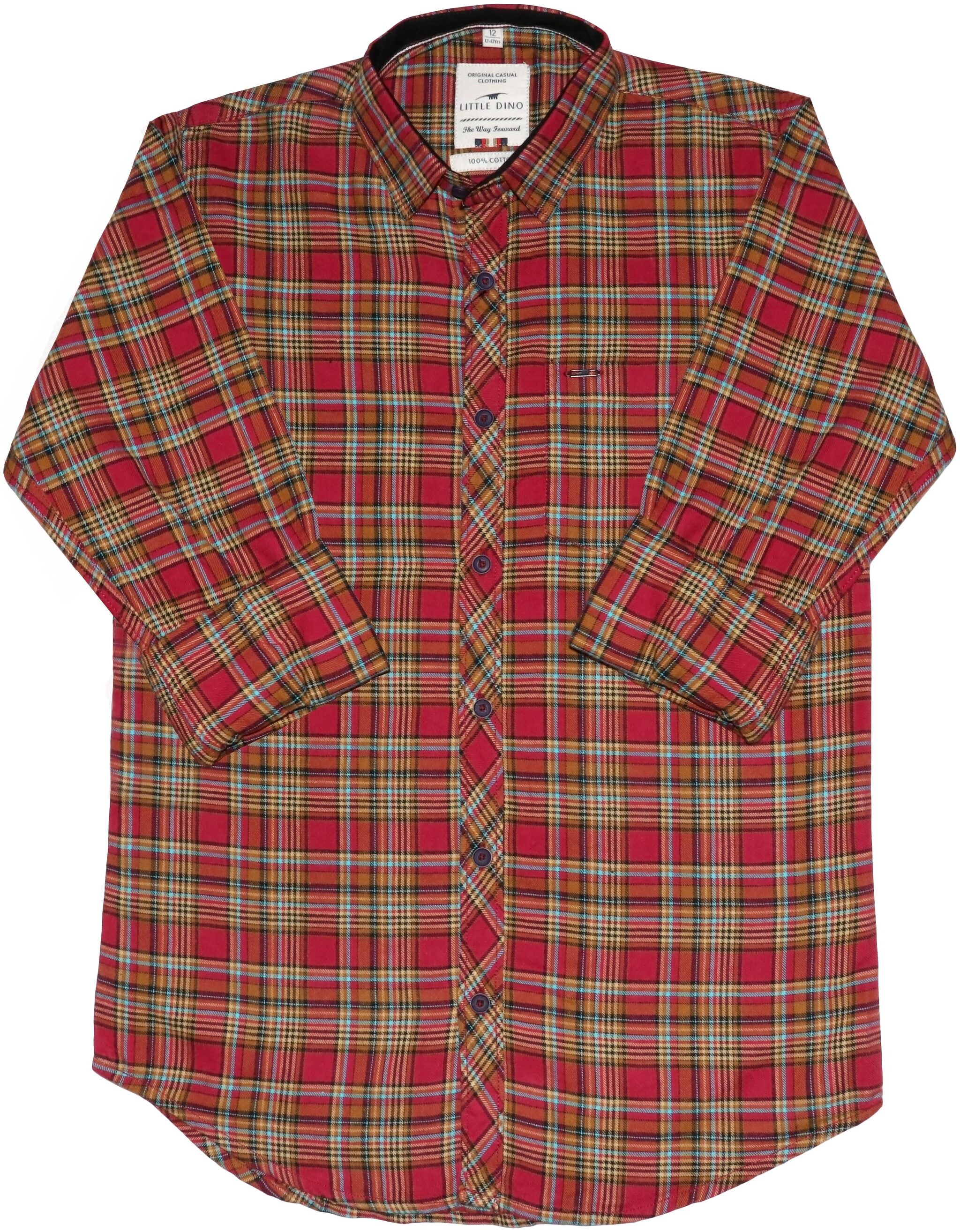 

LITTLE DINO Boy Cotton Checked Shirt Multi