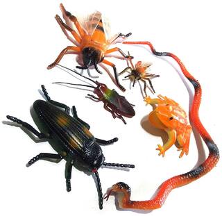 Nawani Natural World Insects and Reptiles Toy Figure Set for Kids,Pack of 6
