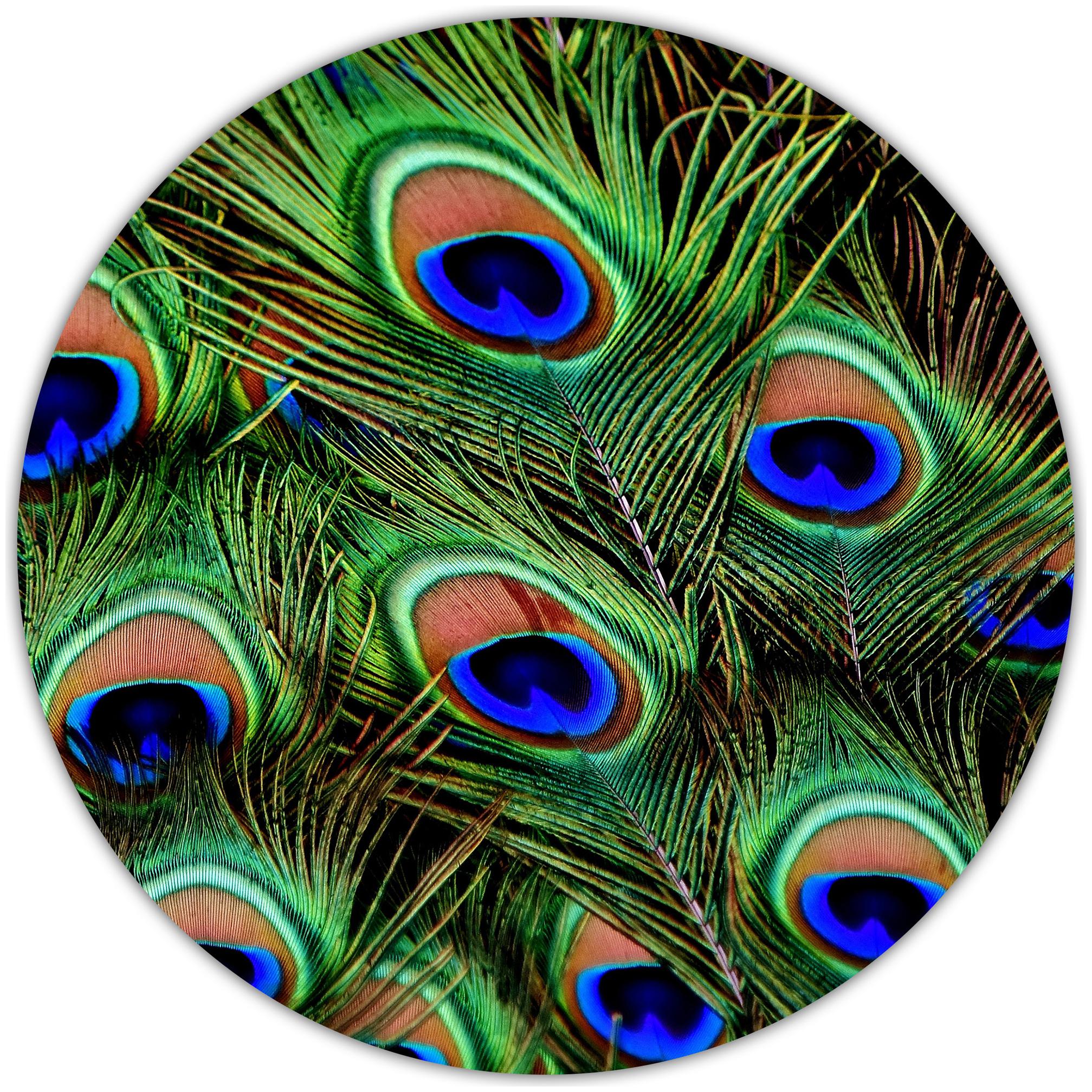 

Nockout Designer Round Gaming Non-Slip Rubber Base Mouse Pad for Laptop and Computer (20 cm x 20 cm Peacock)