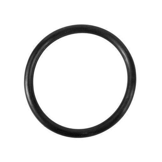 

O-ring at Vent Screw for all Summer Escapes RP Canisters 090-130021