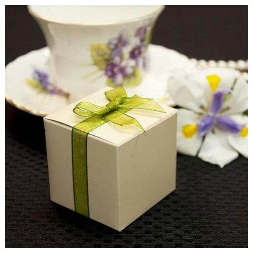 

Pack of 10 Ivory Square Favor Boxes 2 Box