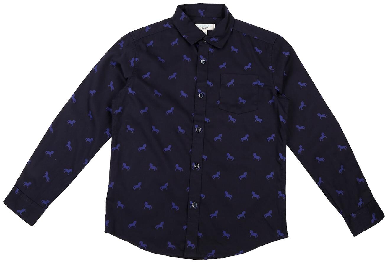 

Pantaloons Junior Boy Cotton Printed Shirt Blue