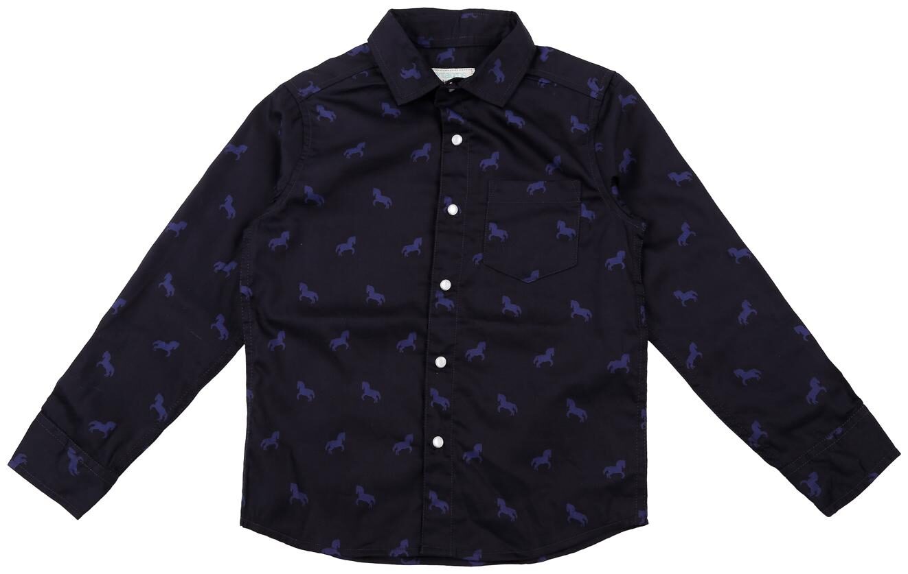 

Pantaloons Junior Boy Cotton Printed Shirt Blue