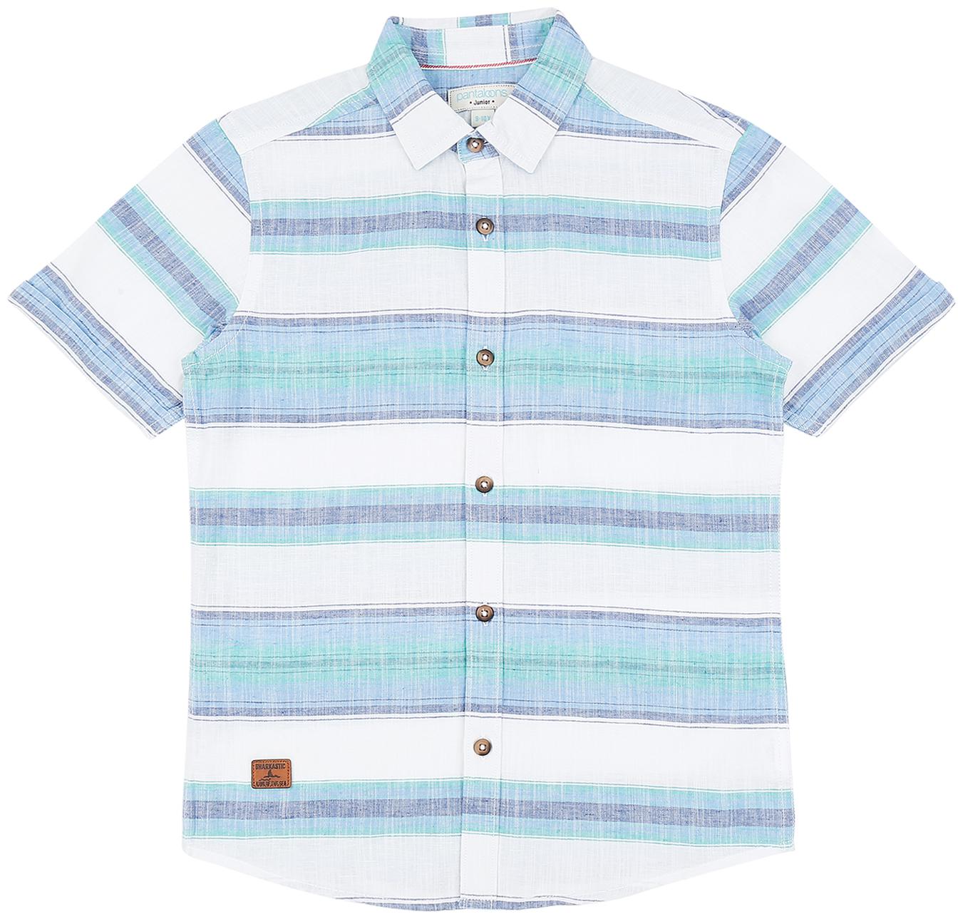 

Pantaloons Junior Boy Cotton Striped Shirt Blue