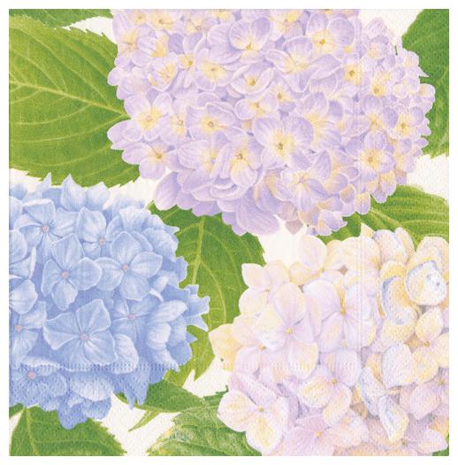 

Paper Cocktail Napkins Beverage Hydrangea Purple Party Napkins 40 Pk