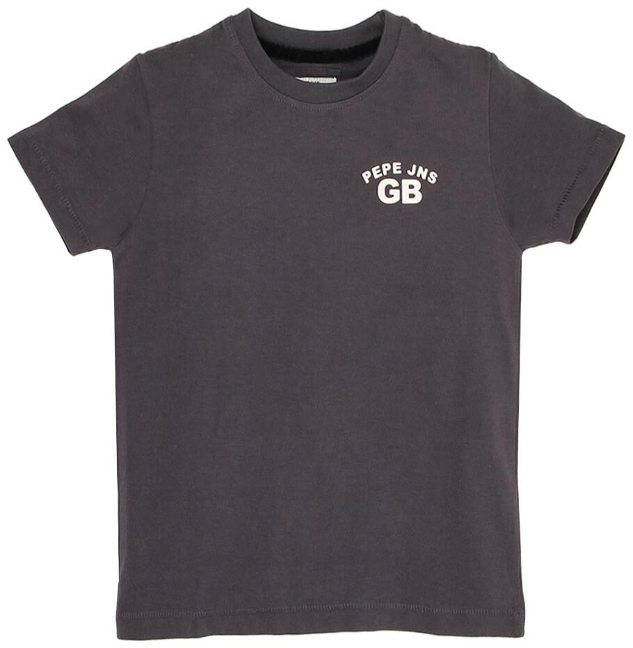 

Pepe Jeans Boy Cotton Printed T-shirt - Grey