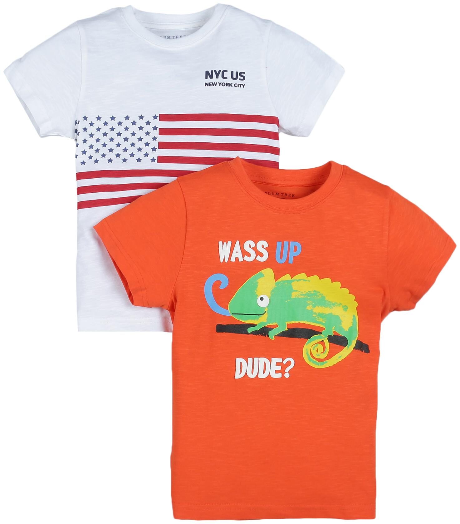

PLUMTREE Boy Cotton Printed T-shirt - Multi