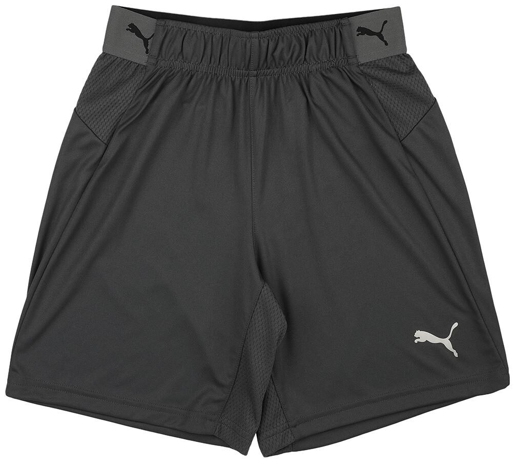 

Puma ftblNXT Shorts Jr Ebony-Green Gecko Grey