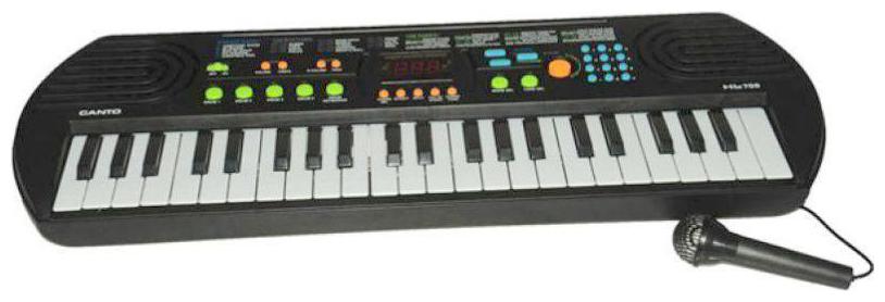 

radhe enterprise Black Plastic Piano Musical Keyboard