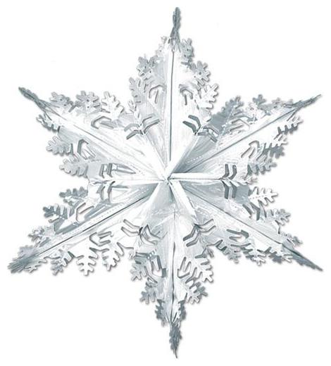 

Silver Metallic Winter Snowflake