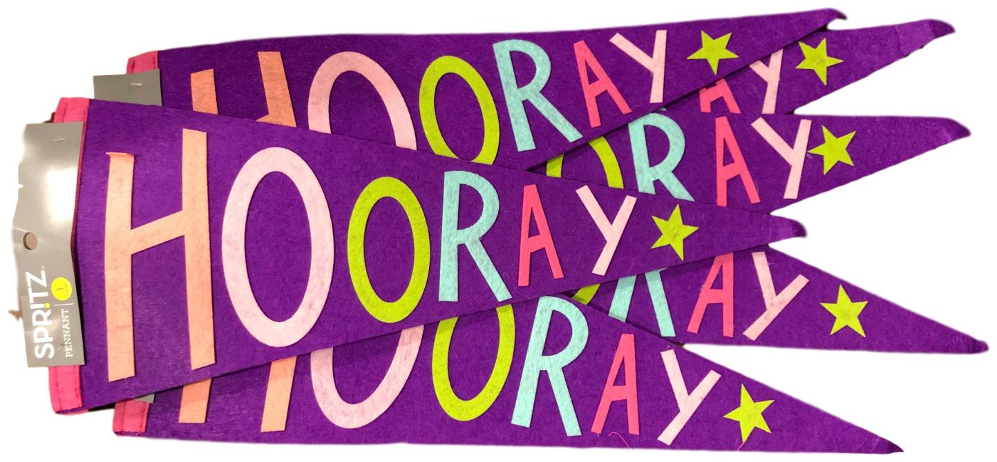 

Spritz Pennant Banner Party Decor HOORAY Purple Pack of 6 NWT