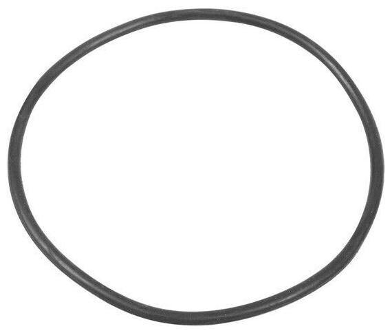 

Summer Escapes Pool Filter Case O-Ring 090-130022