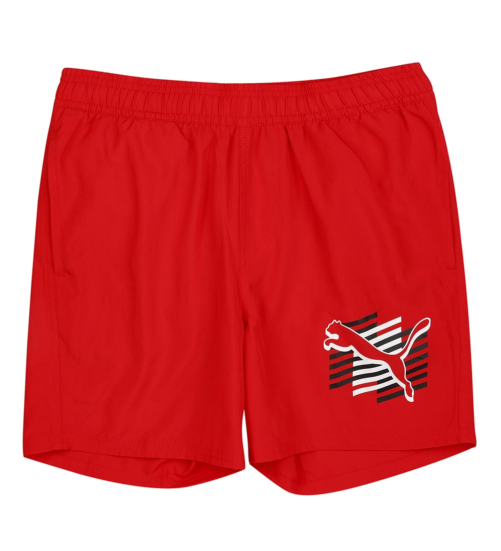 

Summer Shorts Cat