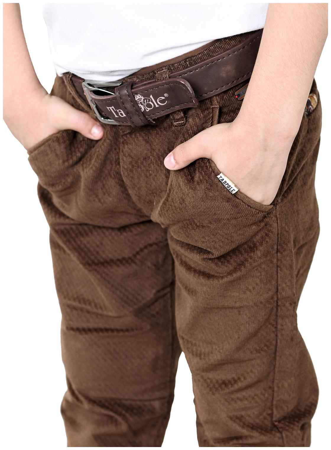 

TADPOLE Boy s Regular fit Jeans - Brown