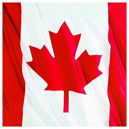 

Waving Flag Beverage Party Napkins 30 Ct