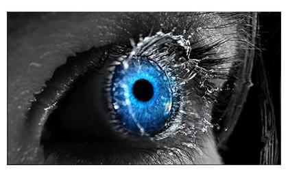 

INTEX 124 cm (50 inch) Full HD LED TV - LED-5012 FHD