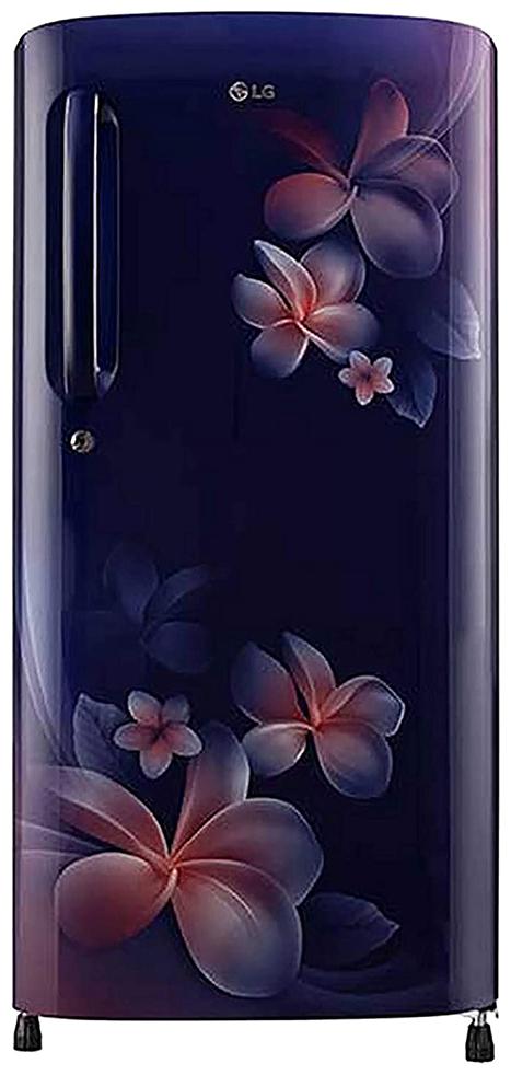 

LG 190 L 4 star Direct cool Refrigerator - GL-B201ABPY Blue plumeria