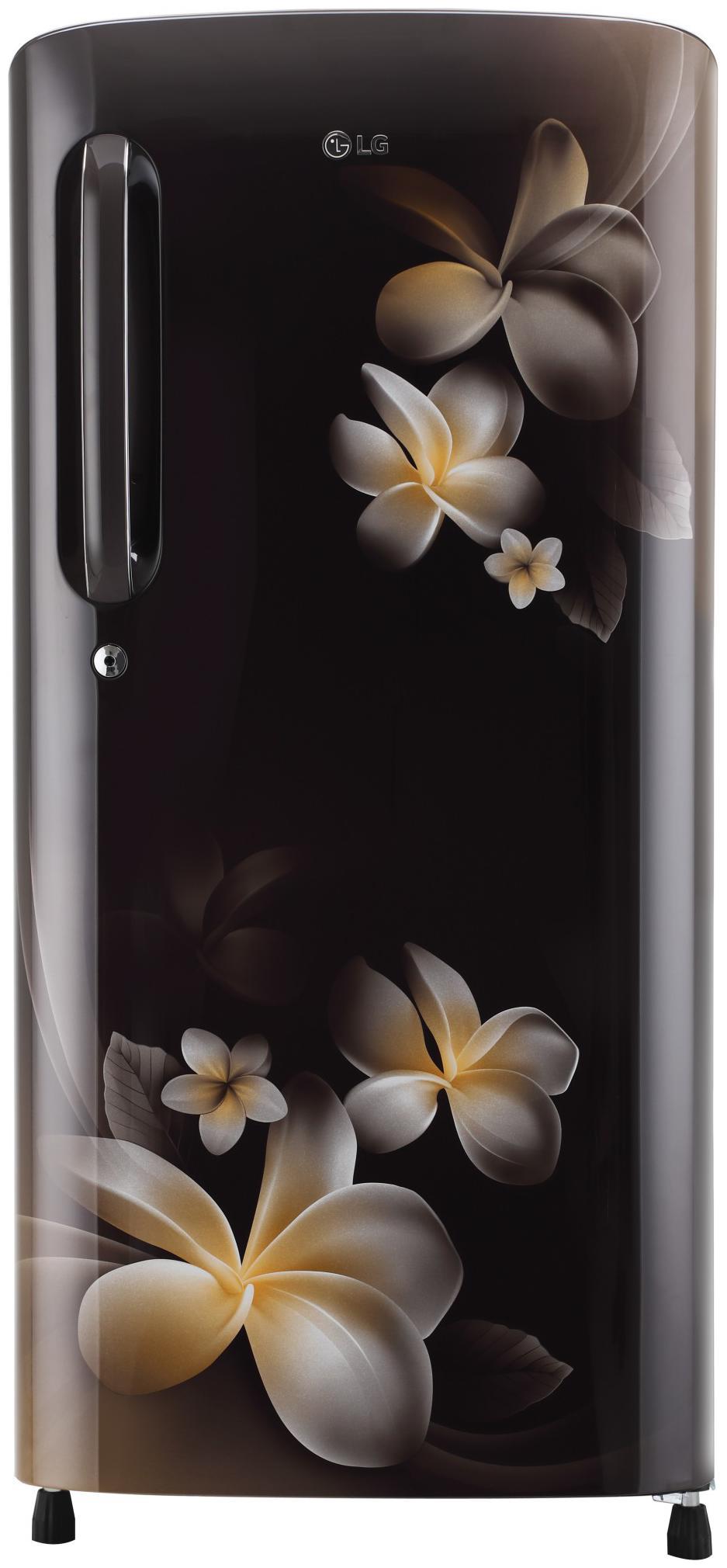 

LG 190 L 4 star Direct cool Refrigerator - GL-B201AHPY Hazel plumeria