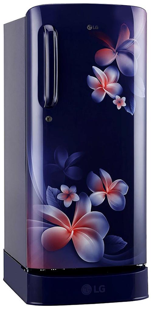 

LG 190 L 4 star Direct cool Refrigerator - GL-D201ABPY Blue plumeria