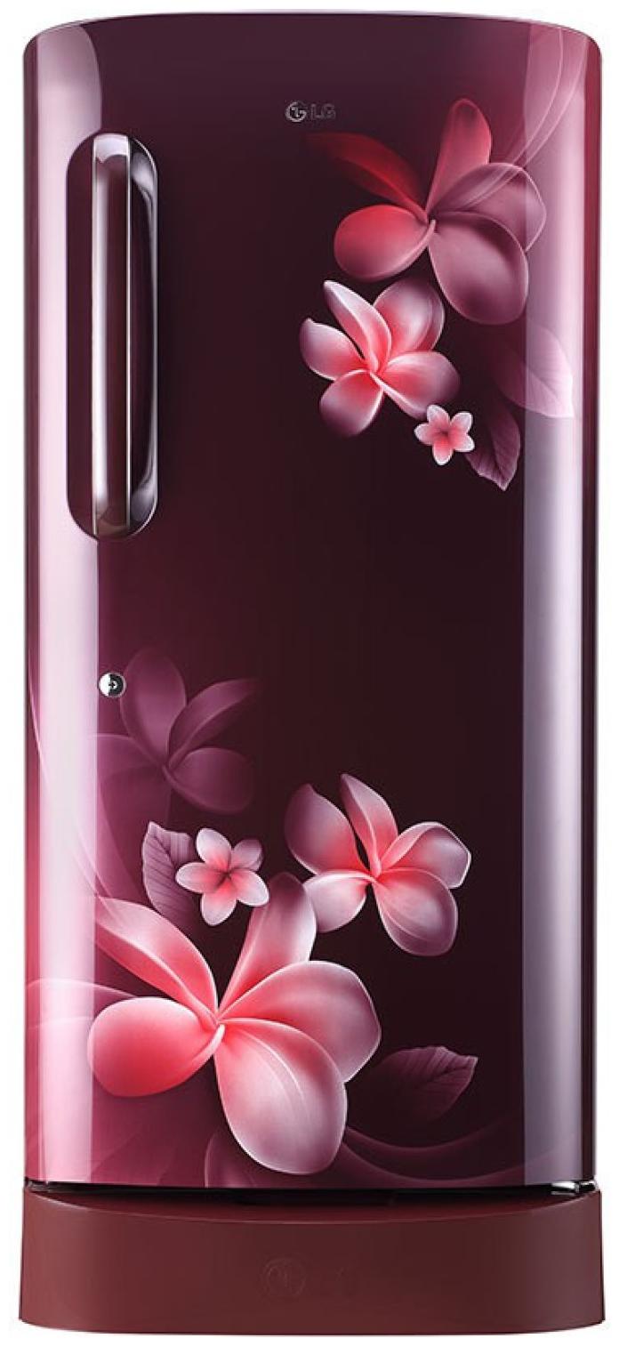 

LG 215 L 4 star Direct cool Refrigerator - GL-D221ASPY Scarlet plumeria