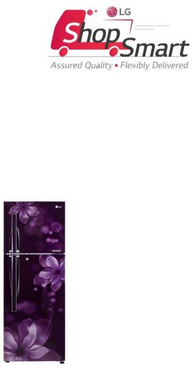 LG 255 L Double Door Refrigerator (GL-Q282RPOY Purple Orchid)