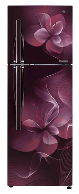 LG 255 L Double Door Refrigerator (GL-F282RSDX Scarlet Dazzle)