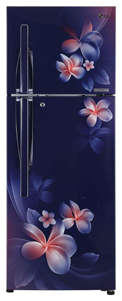 

LG 260 L 4 star Linear cooling Refrigerator - GL-T292RBPN Blue plumeria