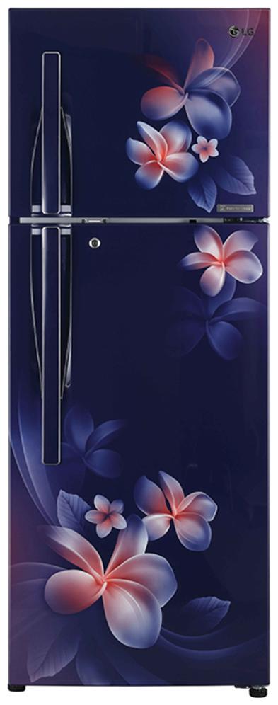 

LG 260 L 3 star Linear cooling Refrigerator - GL-T292RBPN Blue plumeria