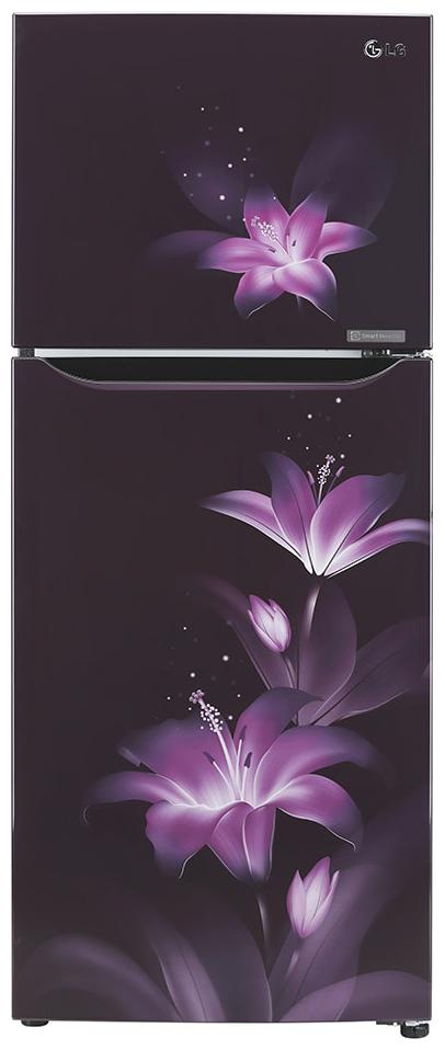 

LG 260 L 3 star Frost free Refrigerator - GL-T292SPG3 Purple glow