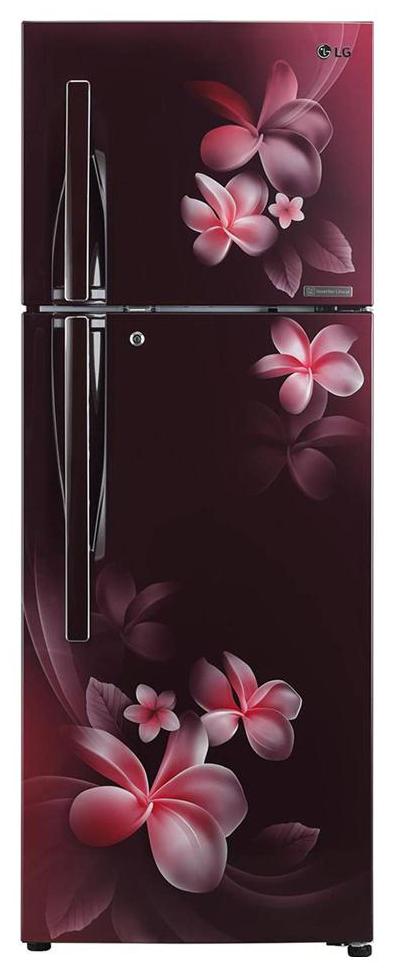 

LG 308 L 4 star Frost free Refrigerator - GL-T322RSPN Scarlet plumeria