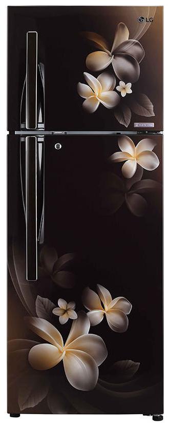 

LG 308 L 4 star Frost free Refrigerator - GL-T322RHPN Hazel plumeria