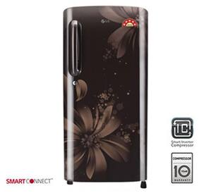 LG Direct Cool 190 L Single Door Refrigerator (GL-B201AHAW Scarlet Aster)