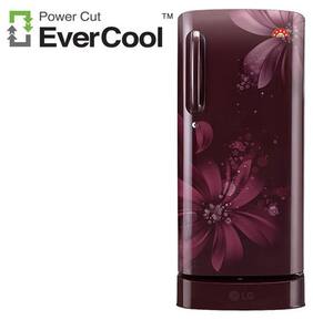 LG Direct Cool 190 L Single Door Refrigerator (gl-d201ASAZ Scarlet Aster)