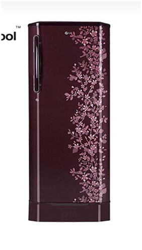 LG Direct Cool 215 L Single Door Refrigerator (GL-D225BSPZ Scarlet Paradise)