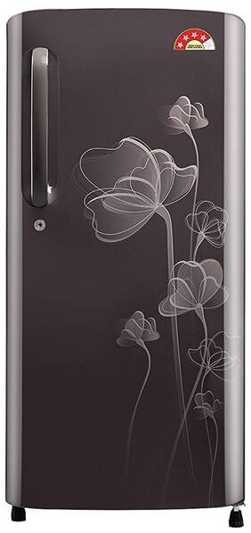 LG Direct Cool 190 L Single Door Refrigerator (GL-B201AGHP Graphite Heart)
